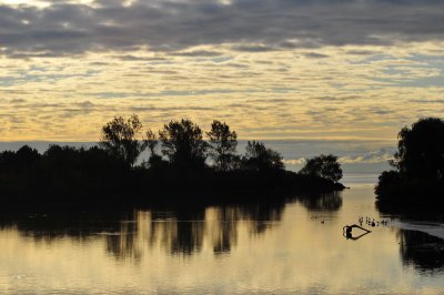 Morning on the creek