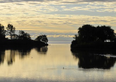 Morning on the creek