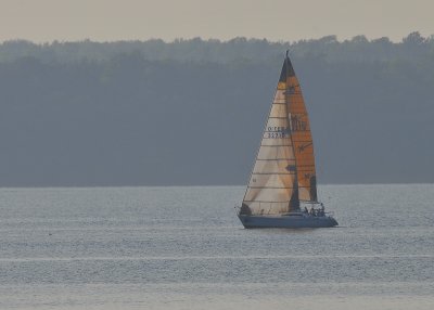 Sailing on Picton Bay