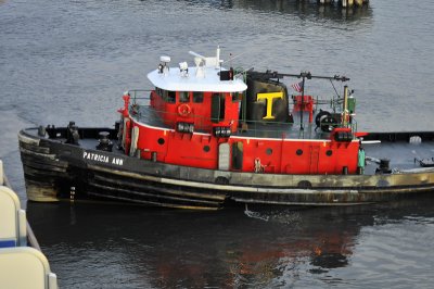 The Patricia Ann