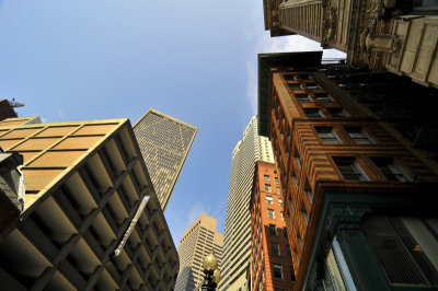 Looking Up