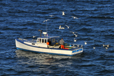 Lobster Boat