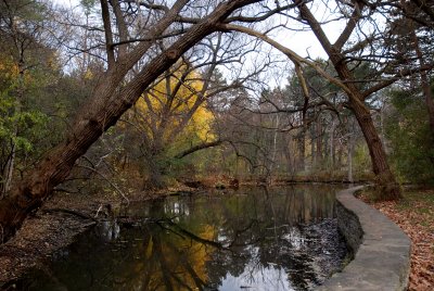 The Lower Duck Pond - High Park