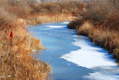 Winter in the park