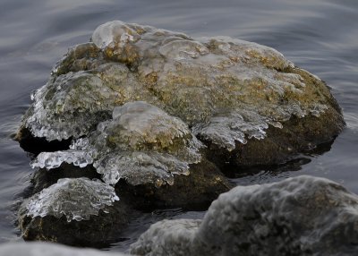 Ice on the rocks