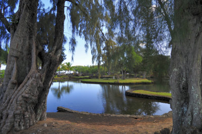 Lilioukalani Gardens