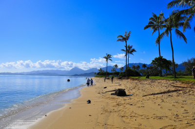 Along the shore