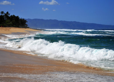 Surf on the north shore