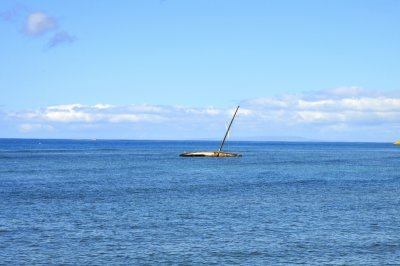 Shallows