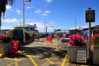 Pier at Maui