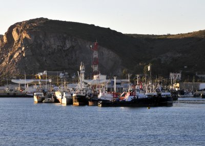 Fishing vessels in Ensenada harbour