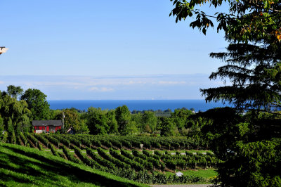 Niagara Wine Region - Ontario Canada
