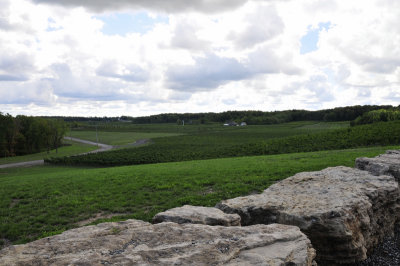 Niagara Wine Region - Ontario Canada