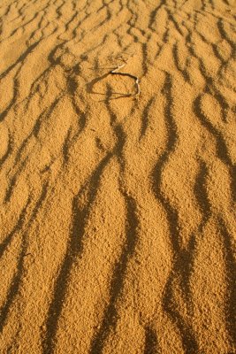 Pinnacles Desert, Nambung National Park (Australia)