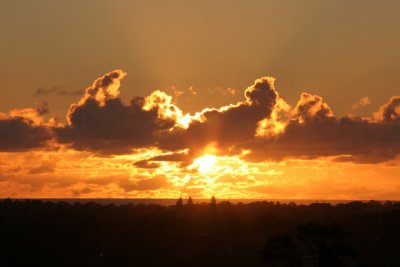 Sunset at Kings Park, Perth