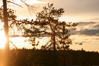 Midnightsun at Lake Inari (Finland)