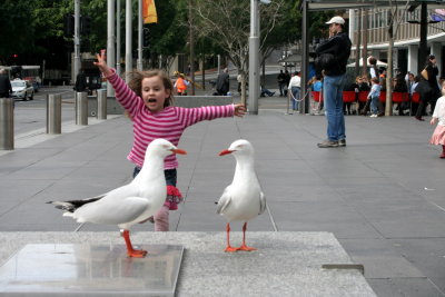 Girl chasing seagulls, Sydney (Australia)