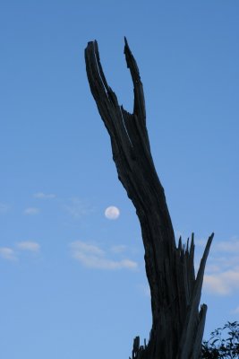 Moon over Gordon Falls Lookout, Blue Mountains