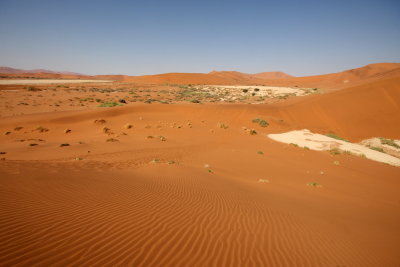 Sesriem, Dead Vlei