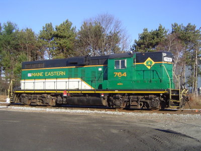 Maine Eastern Geep