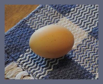 First Egg