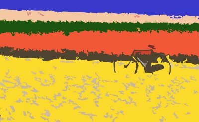 Bike in tulipfield
