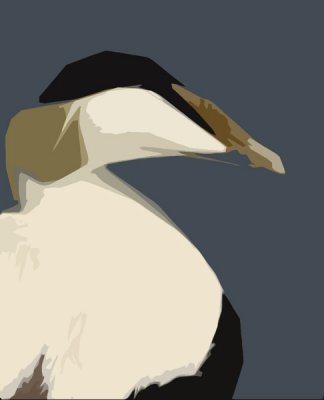 eiderart.jpg