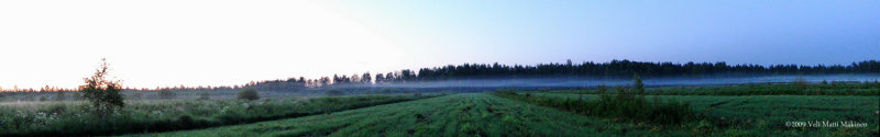 Panorama: Mist