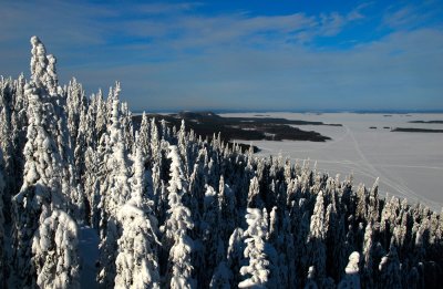 Lake Pielinen