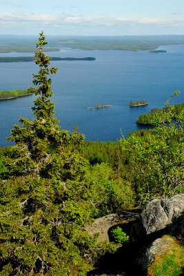 Koli and Lake Pielinen  in summer
