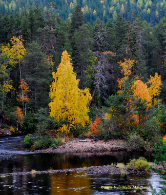 Kuusamo's colours