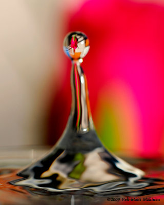 A rose and a drop