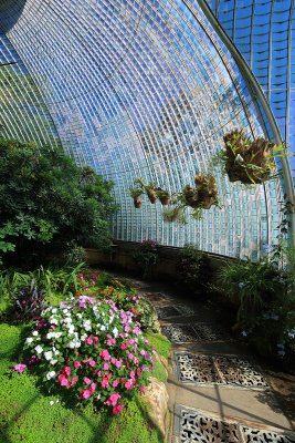 Inside greenhouse