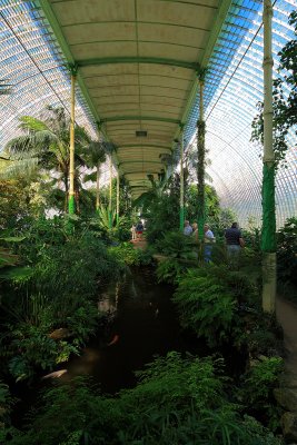 Inside greenhouse
