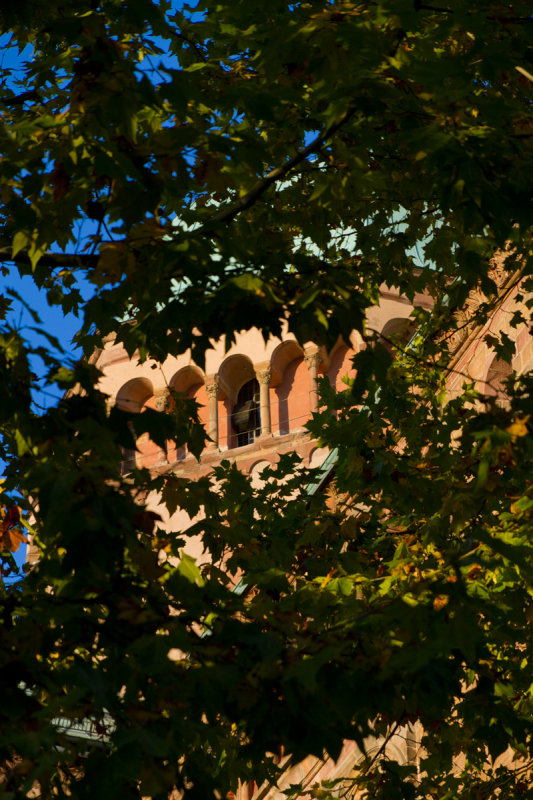Hidden from view