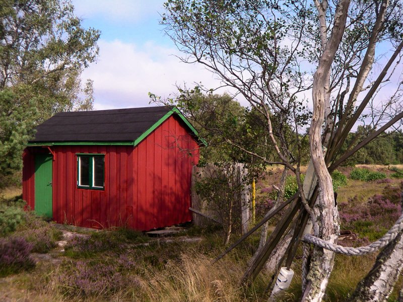 Old shed