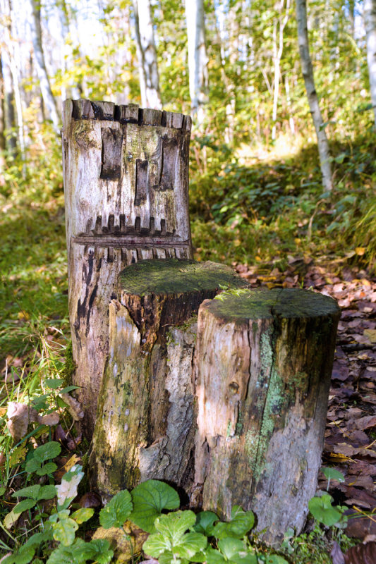 Holzmichel