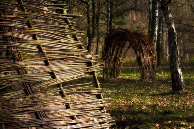 Orphaned playground