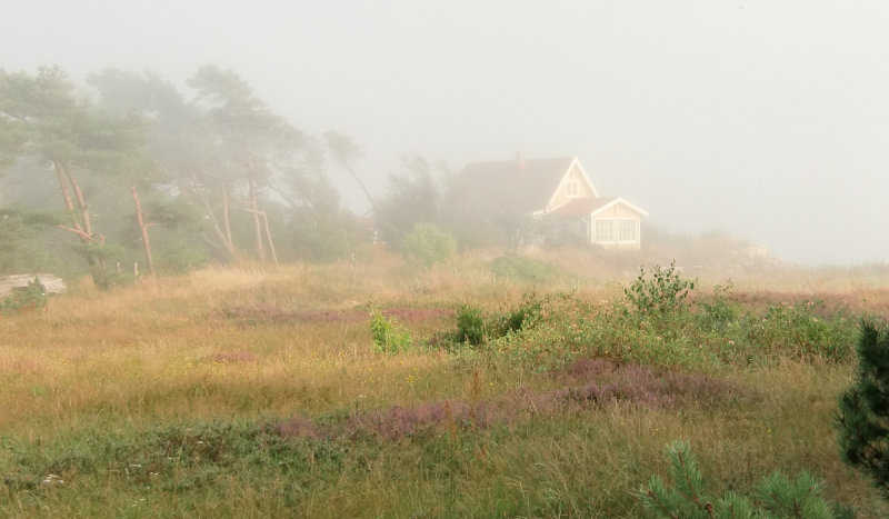 Fog over Strandbad