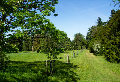 Wrlitzer Park