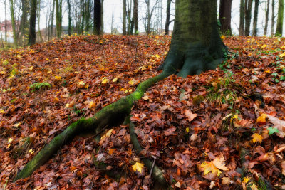 Schlosspark Lunzenau