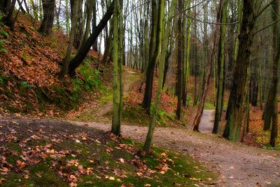 Schlosspark Lunzenau