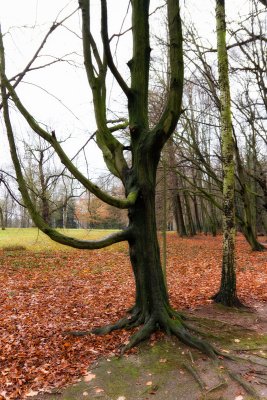 Schlosspark Lunzenau