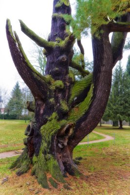 Schlosspark Lunzenau