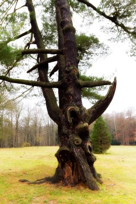 Schlosspark Lunzenau