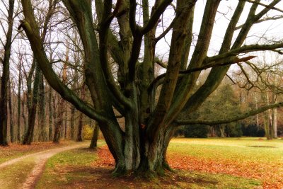 Schlosspark Lunzenau