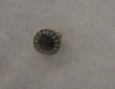 g1/22/965722/3/132466447.ijXkNk1Q.jpg