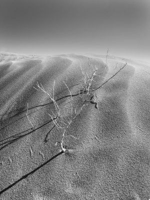 sand dunes near Lake Abert, Oregon