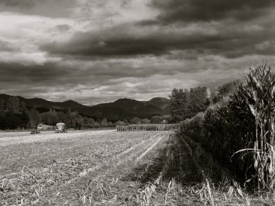 the_land