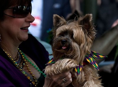 Barkus Mardi Gras Parade - New Orleans 2009